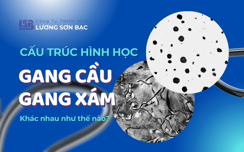 cau-truc-hinh-hoc-cua-gang-cau-va-gang-xam