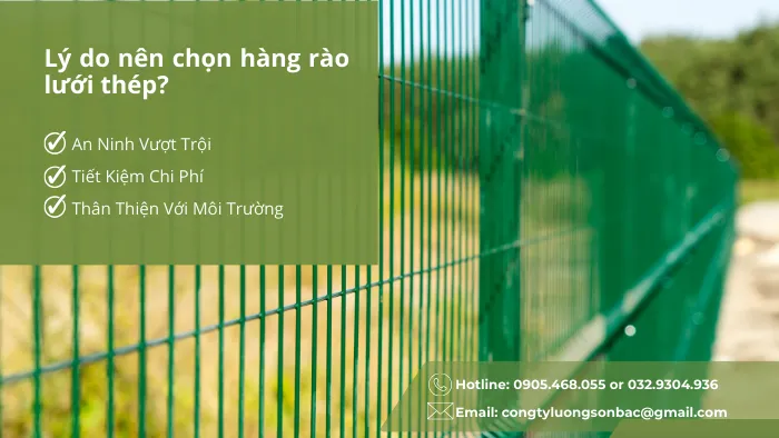 hang-rao-luoi-thep