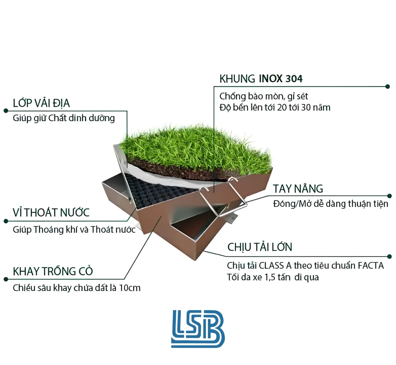 Cấu tạo 3 lớp thông minh giúp cỏ phát triển xanh tốt